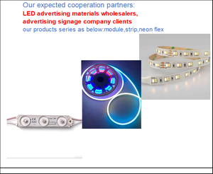 Module LED OEM ODM SMD2835 4 puces 1,5W DC12V IP68 étanche blanc naturel Garantie 5 ans pour la décoration de panneaux intérieurs et extérieurs - Product Image 5