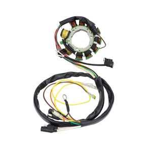 <span class=keywords><strong>Estator</strong></span> de Motocicleta 3085561 3086821 para POLARIS 500 - Product Image 3