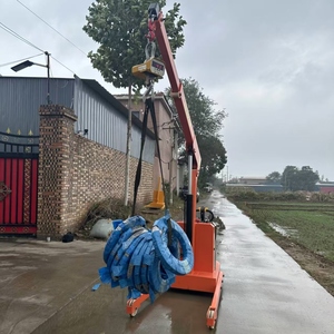 Nouvelle grue mobile électrique entièrement automatique de 1 tonne avec acier inoxydable 316 et force <span class=keywords><strong>d</strong></span>'<span class=keywords><strong>aspiration</strong></span> de 1000N - Product Image 6