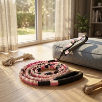 Collier pour chien moderne rembourré et réfléchissant de 2,5 cm de large, durable, pour chiens de taille moyenne/grande, avec laisse élastique de 130-170 cm, anti-traction, équipement de promenade 100% efficace
