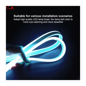 ไฟนีออน LED แบบยืดหยุ่น RGB RGBW 12V 24V 110V 120V 240V <span class=keywords><strong>230V</strong></span> สำหรับตกแต่งห้อง - Product Image 4