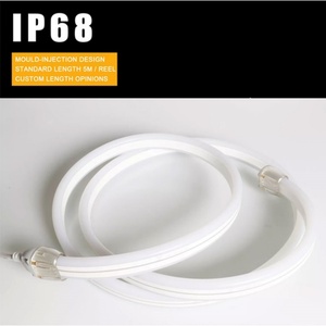 Éclairage extérieur étanche IP68, bande LED néon numérique dynamique double face 11x24mm, PVC DC24V pour aménagement paysager - Product Image 4