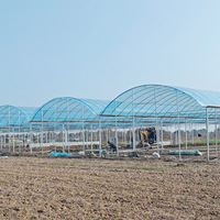 Grande serre agricole automatique hydroponique pour la plantation de fraises, multi-spans, avec couverture en film mince connectée