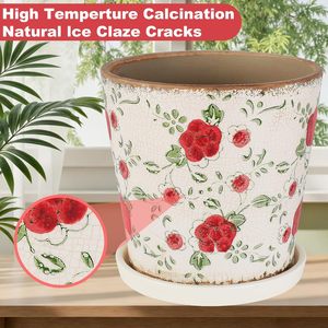 Pots à fleurs en céramique émaillée <span class=keywords><strong>pour</strong></span> sol, 5,5 pouces, petit design effet craquelé, avec trou de drainage et <span class=keywords><strong>soucoupe</strong></span> <span class=keywords><strong>pour</strong></span> plantes bonsaï - Product Image 4