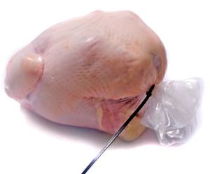 Sacchetti per Confezionamento Sottovuoto JHG per Gambe e Ali di Pollo, Anatra e Oca - Product Image 6