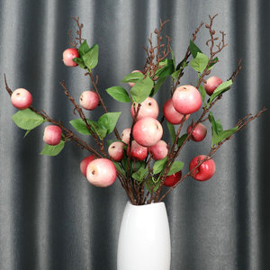 Tùy Chỉnh Nhỏ Của Apple Sáng Tạo Trang Trí Nội Thất Giáng Sinh Chụp Đạo Cụ Mô Phỏng Trái Cây Táo Hòa Bình Trái Cây Nhân Tạo Trái Cây - Product Image 3