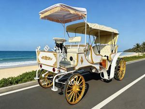 Chariot de mariage de haute qualité et abordable, style citrouille, chariot de mariée blanc - Product Image 1