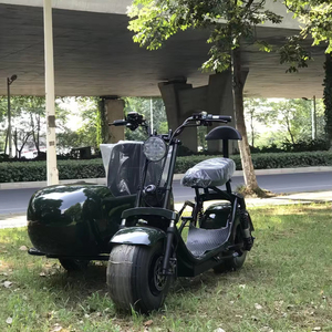 Tricycle électrique de haute qualité, <span class=keywords><strong>vélo</strong></span> électrique à pédales avec side-car, moto électrique pour adultes - Product Image 1