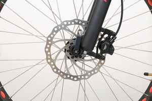 Portable <span class=keywords><strong>pas</strong></span> <span class=keywords><strong>cher</strong></span> vélo électrique mini pliant e-bike/e vélo scooters électriques vélo pliant électrique 500w gros vélo électrique - Product Image 3
