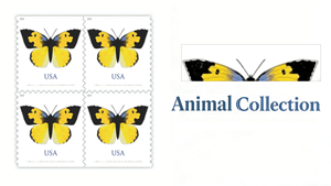 Livre de collection de <span class=keywords><strong>timbres</strong></span>-poste <span class=keywords><strong>et</strong></span> autocollants Us Postal 2019 California Dogface Butterfly, avec papier pour l'impression d'étiquettes de <span class=keywords><strong>timbres</strong></span>-poste, disponible à l'achat <span class=keywords><strong>en</strong></span> <span class=keywords><strong>ligne</strong></span> - Product Image 6