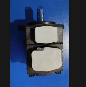 Bombas de paletas simples serie PV2R PV2R1 PV2R2 PV2R3 PV2R4, modelos PV2R3-66-F-RAA-31, PV2R4-153-L-RAA-30, PV2R1-23-1, PV2R2-41-L-RAA-41 - Product Image 3