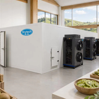 Machines de transformation des fruits et légumes à commande facile, machine à sécher les kiwis