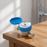 Daily Use Domestic Cold Single Jet Digital IP68 Brass DN15 Dry Dial OEM RUIYANG Water Meter