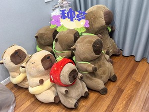 Muñecos de peluche de oso rizado pequeño de 8 pulgadas de algodón PP suave, juguetes de oveja, regalo para niños, venta al por mayor a bajo precio de fábrica, para máquinas de garras - Product Image 5