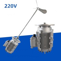 Miscelatore per Sapone Liquido con Regolazione da 0 a 160 Giri/Min per Serbatoio IBC