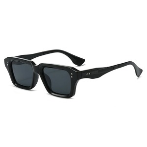 2025 <strong>New</strong> <strong>Style</strong> Rectangular Square Pc Frame Unisex Leopard Sun <strong>Glasses</strong> Men and Women Uv400 Vintage Sunglasses - Product Image 4