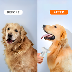 Haustier produkte Hersteller Lieferant Großhandel Katzen haarentferner Bürste Vakuum Geräuscharm Hund Tierhaar Pflege Staubsauger Kit - Product Image 6