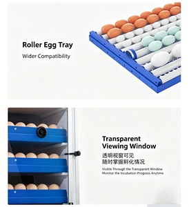 Nouveau <span class=keywords><strong>prix</strong></span> usine – Équipement <span class=keywords><strong>d</strong></span>'incubation intelligent multifonctionnel pour œufs de poulet, canard et <span class=keywords><strong>oie</strong></span> (68-340 œufs) – Taux <span class=keywords><strong>d</strong></span>'éclosion de 98 % - Product Image 6