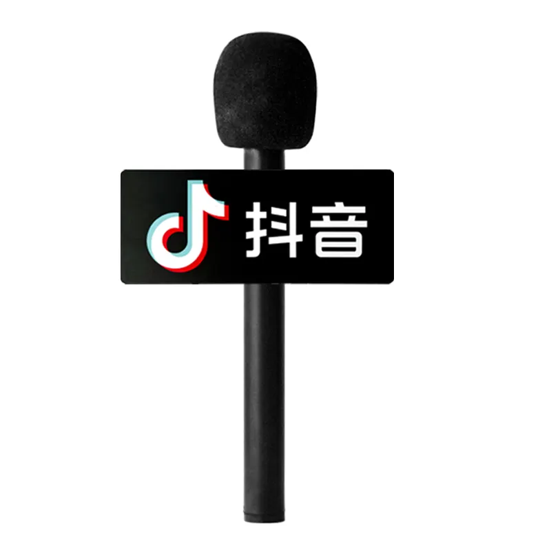 Senli konferans el kondenser Mini mikrofon ile Karaoke hoparlörü taşınabilir küçük kablosuz mikrofon