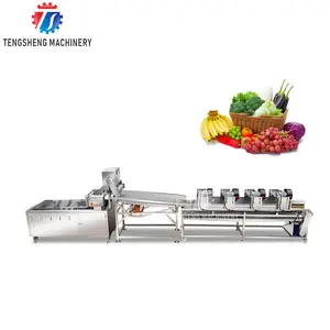 Industrial Fresh Vegetable Fruits Cleaning Drying Processing Machinery Automatic Frozen Vegetable Production Line