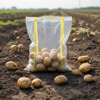 Sacs en dentelle jaune transparents pour pommes de terre, oignons, fruits et légumes