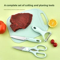 Couteau à fruits multifonctionnel et éplucheur en acier inoxydable, ensemble de trois pièces avec manches en plastique, outil de poche portable Yangjiang Keep Dry Dorms