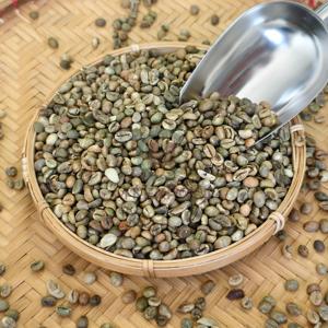 Granos de café verde Vietnam Robusta A Plus 95 a 99% Pureza 60kg Yute PP Bolsas a granel Ingrediente no adicional - Product Image 5