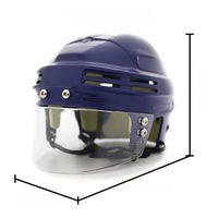 Casque de hockey miniature YOUNGSON multicolore, extérieur en ABS + doublure en EVA, casque de hockey sur glace miniature, produit spécial commémoratif, cage intégrale