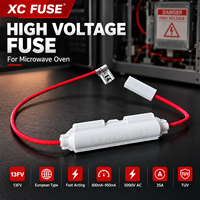 Fusible haute tension XC FUSE 13FV type européen à action rapide 600mA-950mA 5000V AC 35A TUV pour four à micro-ondes