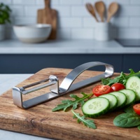 Handmatige scherpe roestvrijstalen keuken fruit- en groenteschiller met antislip handvat