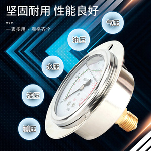 Manomètre axial en acier inoxydable YN60ZT, résistant aux chocs, pour huile hydraulique et eau, avec bords - Product Image 2