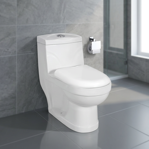 Vente chaude 1 pièces toilette éthiopie populaire Golden Dragon Water Closet S-trap siège de toilette monobloc pour Ehiopia - Product Image 6