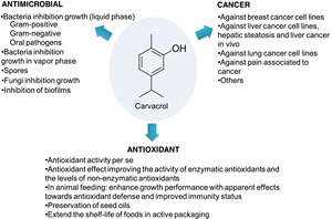 Carvacrol de Alta Calidad 99%, Carvacrol Cas 499-75-<span class=keywords><strong>2</strong></span>, Carvacrol en Saborizante con Muestra Gratis - Product Image 6