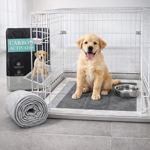 Tapis absorbant pour chien en charbon de bambou, épais, pour chiots et Golden Retriever - Product Image 6