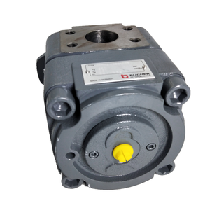 Comercio GARANTÍA DE Bucher QXM QXM42 QXM23 QXM24 QXM31 QXM32 QXM33 serie QXM42-025L108 interna engranaje motor - Product Image 2