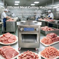Machine à découper la viande congelée en acier inoxydable, équipement industriel de découpe et de tranchage de la viande pour le bœuf, le porc, la viande de poulet