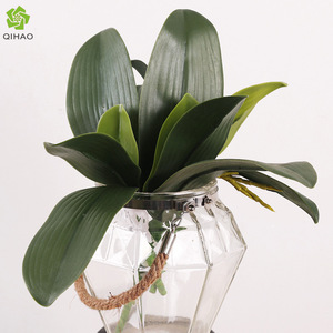 Hojas Artificiales de Orquídea Phalaenopsis, 5 Piezas, Alta Simulación, para Arreglos Florales, Decoración de Bodas - Product Image 4
