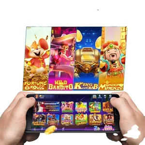 BIG WINNER pengembangan aplikasi Distributor GAME Online ikan untuk mesin pancing kredit