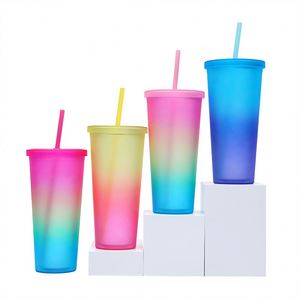 Custom logo 24oz Gradient Colored Acrylic Mug <b>Plastic</b> Matte Pink Coffee <b>Cup</b> Reusable Double Wall Skinny <b>Plastic</b> Tumbler with Lid - Product Image 2