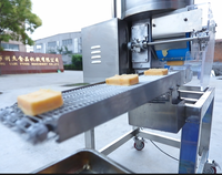 Pépites de poulet Patty d'hamburger automatique commercial formant des machines pour la petite échelle