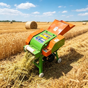 Hacheuse d'aliments électrique 220V, hacheuse d'ensilage motorisée industrielle pour petite exploitation <span class=keywords><strong>agricole</strong></span>, état neuf - Product Image 1