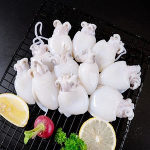 Sepia congelada capturada en estado salvaje, mayorista a granel, exportador de mariscos, suministro de fábrica de procesamiento de cefalópodos IQF Premium en todo el mundo - Product Image 3