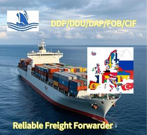 Надежный агент по доставке в океан из Китая в Канаду/Турцию/США/бесплатная доставка - Product Image 6