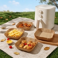Revêtements carrés pour friteuse à air, antiadhésifs, réutilisables, écologiques, résistants à l'huile et à la chaleur, qualité alimentaire, taille personnalisée, compatibles four, OEM