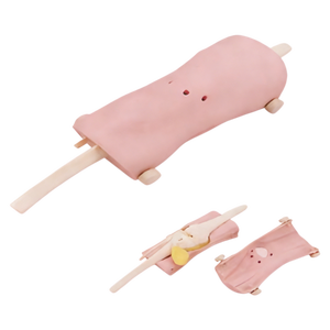 Modello Anatomico per Artroscopia del Ginocchio per Formazione in Scienze Mediche - Product Image 3