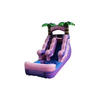 Glissière gonflable de videur de glissière sèche humide commerciale de PVC avec la glissière de parc aquatique de piscine