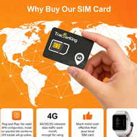 Tarjeta SIM para Rastreador GPS, 30MB por Mes, Compatible con Más de 100 Países en Todo el Mundo, Paneles de Gestión de Análisis en Tiempo Real