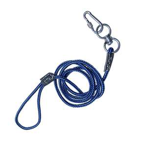 Laisse pour chien, 5 pieds - Product Image 2