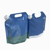 Sacs pochette de support de buse en plastique imprimés personnalisés buse à poignée de taille personnalisable pour la bière boissons boissons eau minérale Champagne