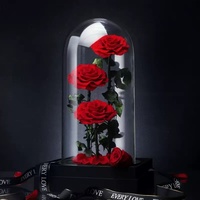 Mawar Abadi Bentuk Hati Klasik Besar dengan Lampu LED dalam Kubah Kaca, Hadiah Bunga Abadi untuk Hari Valentine, Pernikahan, Dekorasi Rumah